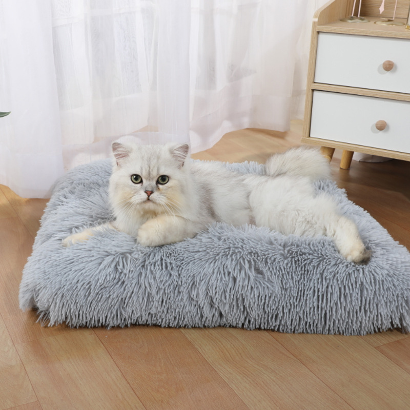 Pet Supplies In Amazon - Supplies Mat Amazon New Dog Sleeping