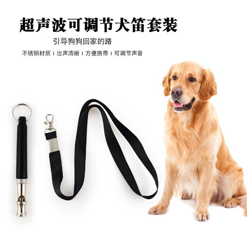 Pet Supplies In Amazon - Amazon directly supplies pet training supplies,