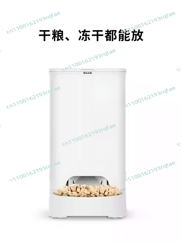 Pet Supplies For Dogs - Smart Feeder New SOLO Pet Supplies
