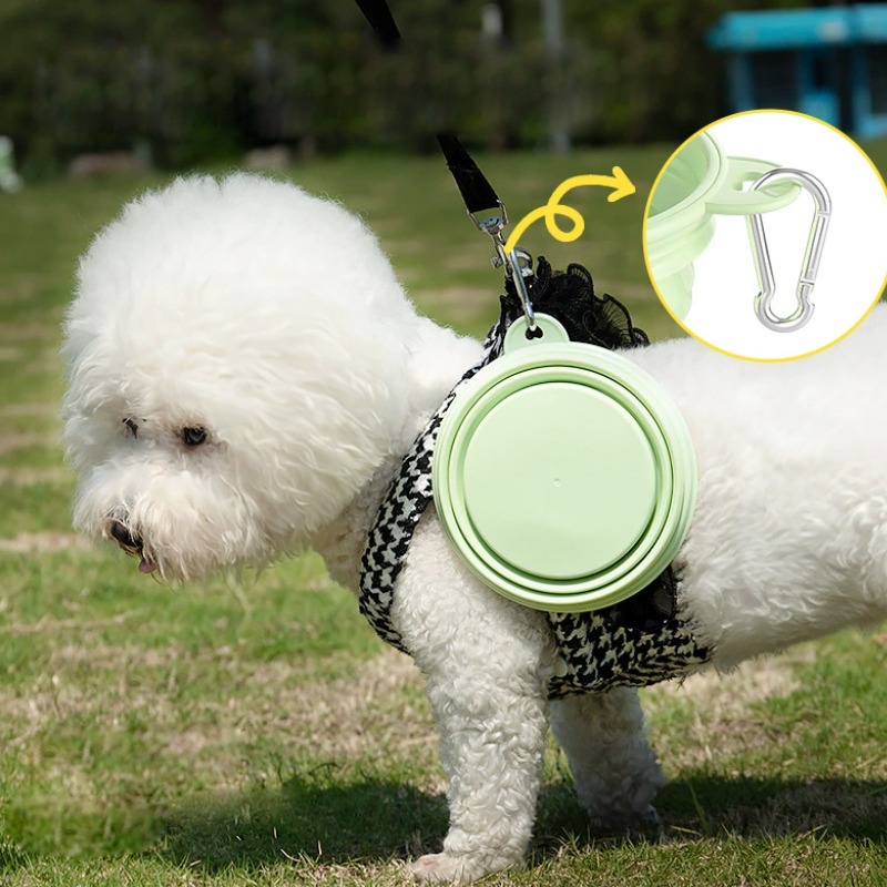 Color Pet Supplies Portable Fo - Pet Supplies Dog Food review and price