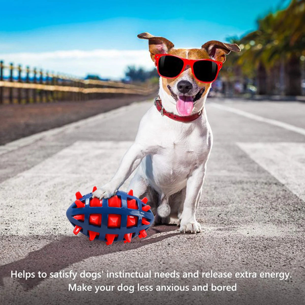 1/2Pcs Squeaky Dog Chew Toys I - Pet Dental Chew Toy review and price