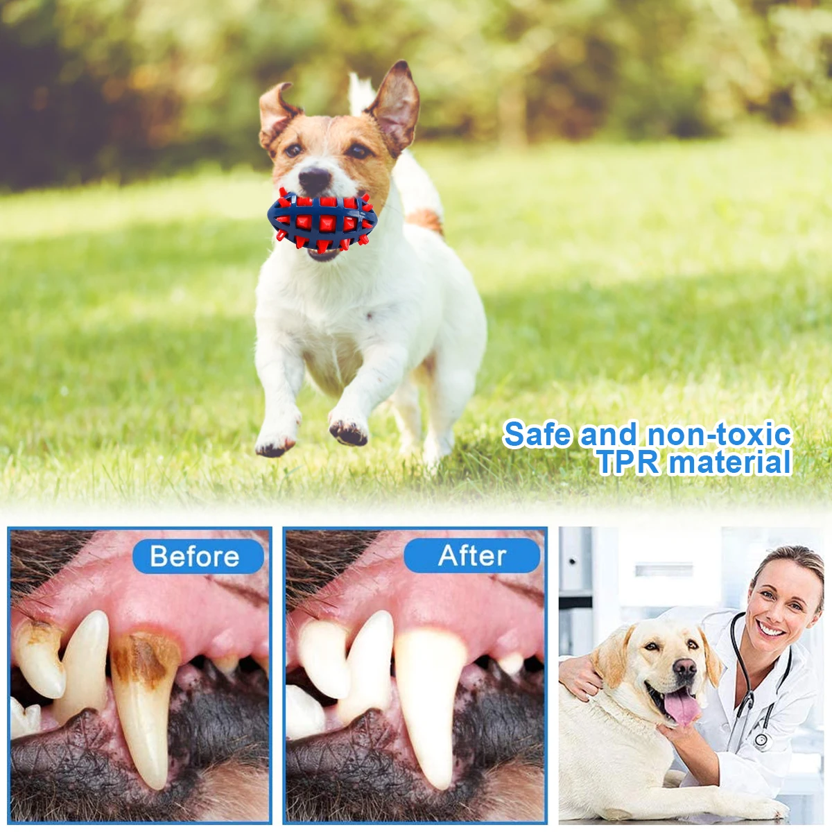 1/2Pcs Squeaky Dog Chew Toys I - Pet Dental Chew Toy review and price