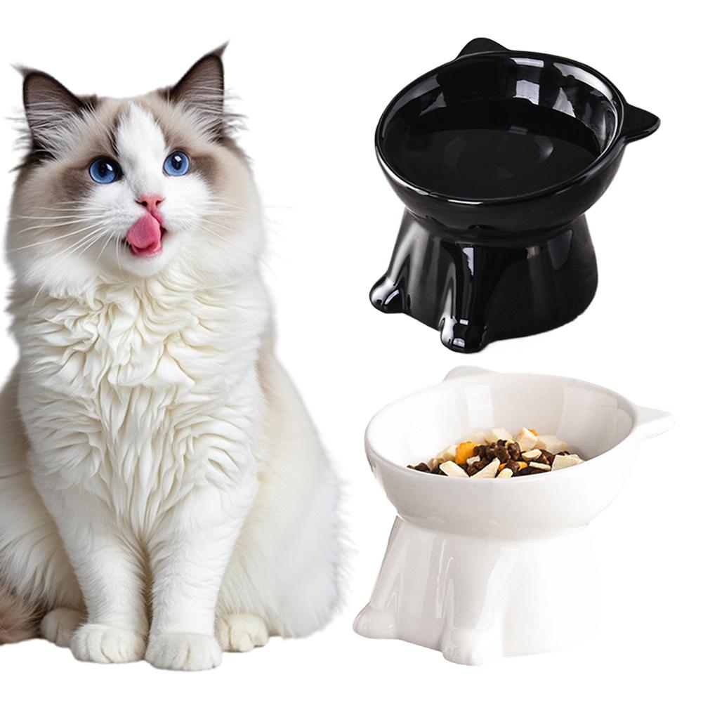 Black Cat Bowl Amazon Plastic  - Pet Supplies In Amazon review and price
