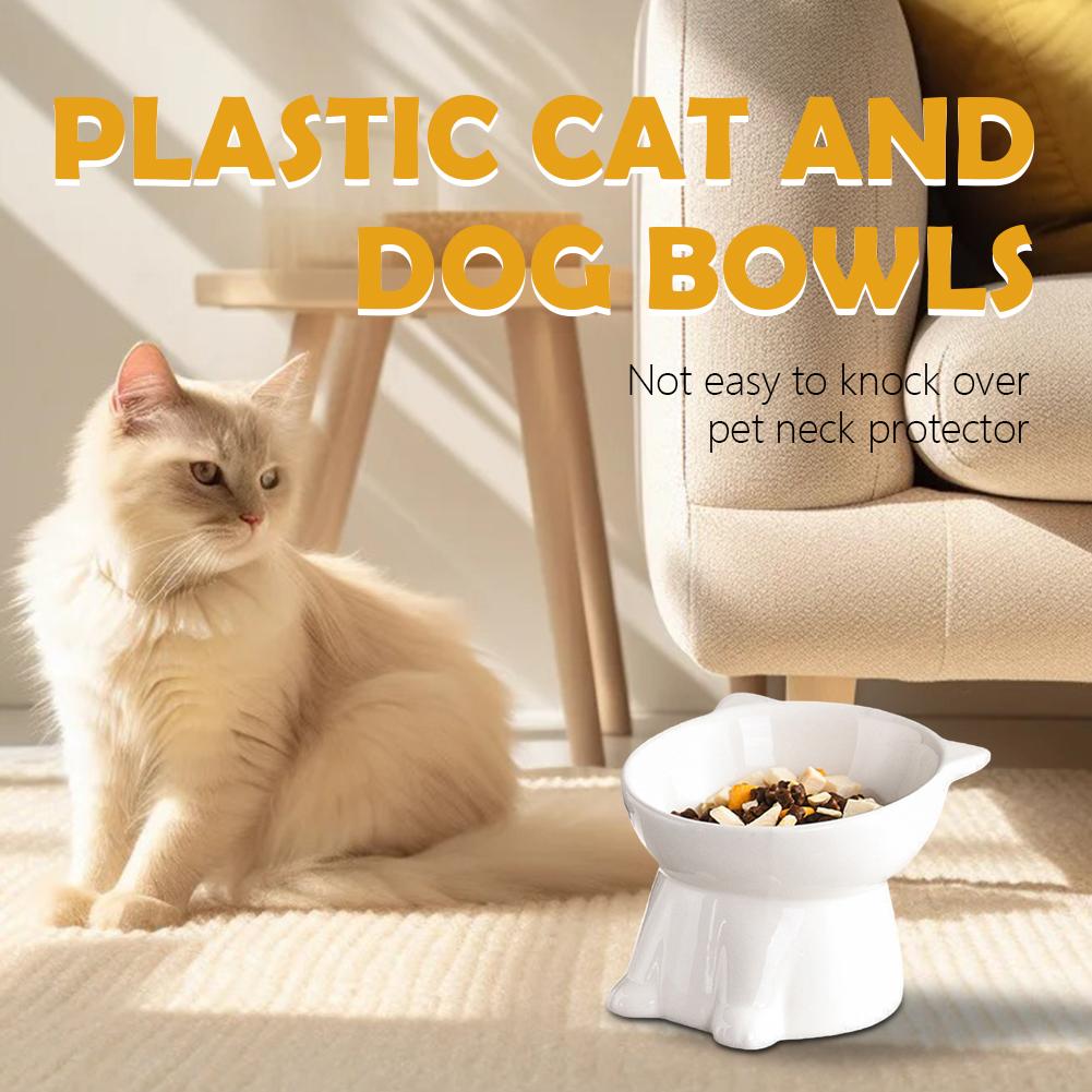 Black Cat Bowl Amazon Plastic  - Pet Supplies In Amazon review and price