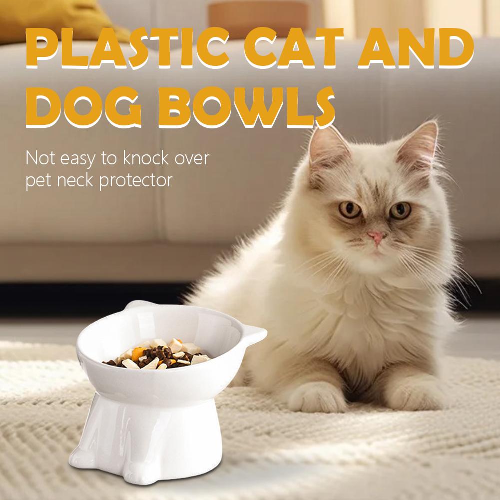 Black Cat Bowl Amazon Plastic  - Pet Supplies In Amazon review and price