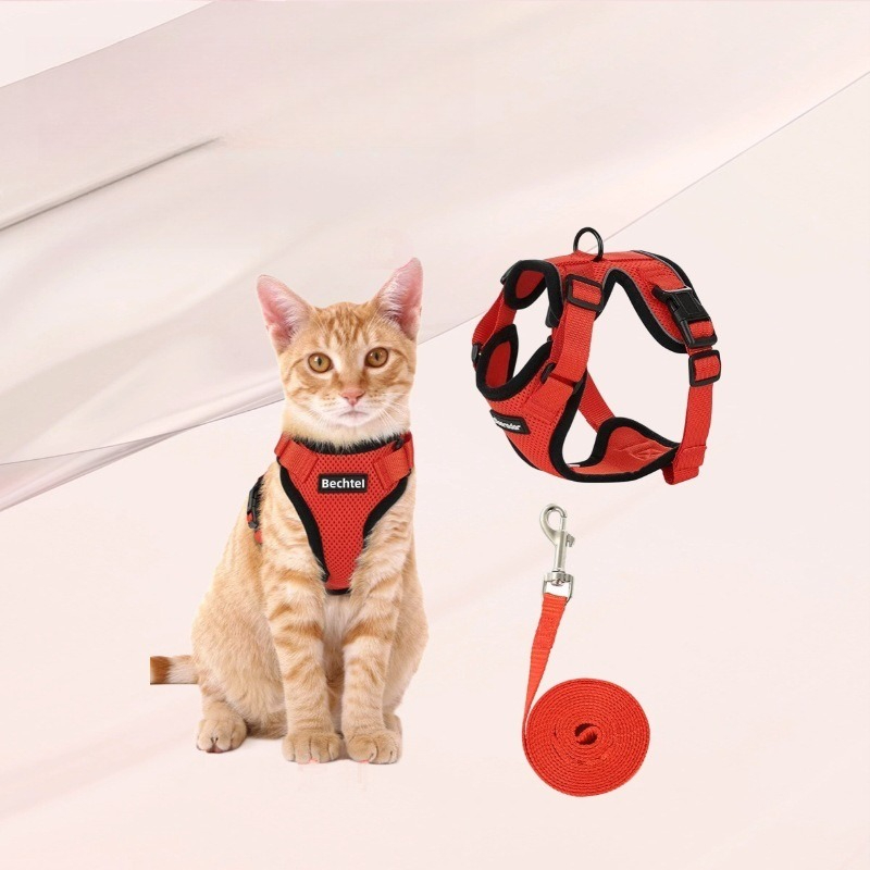 Amazon pet chest strap cat ref - Pet Supplies In Amazon review and price