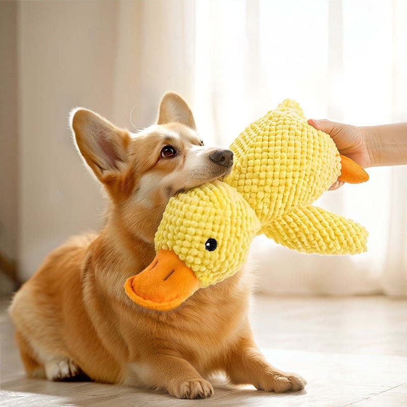 Plush Duck Dog Toy Bite Resist - Pet Dental Chew Toy review and price