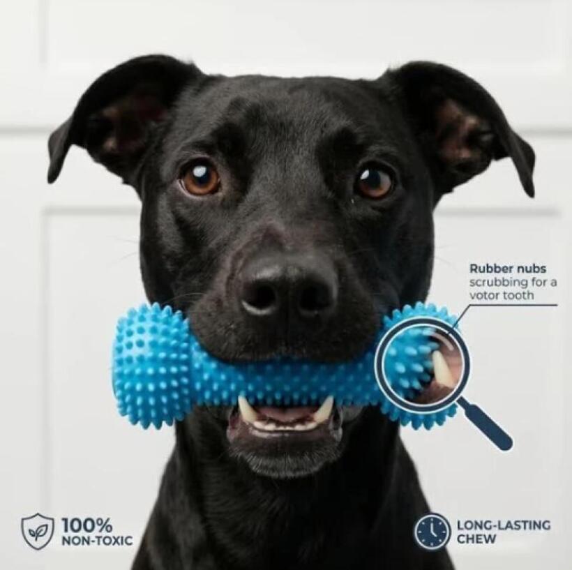 Dual Function Pet Dental Chew  - Pet Dental Chew Toy review and price