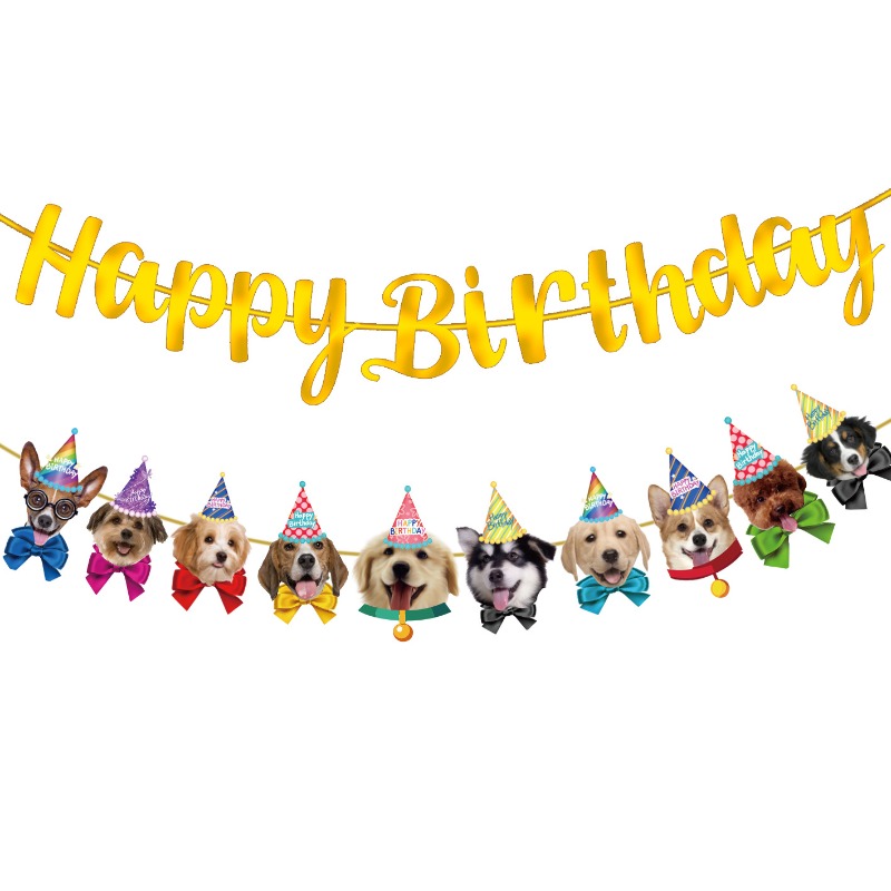 Festive Cat Dog Banner Kit Smi - Pet Supplies For Dogs review and price