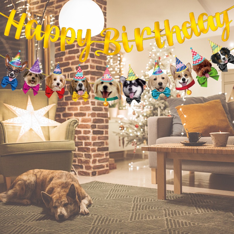 Festive Cat Dog Banner Kit Smi - Pet Supplies For Dogs review and price