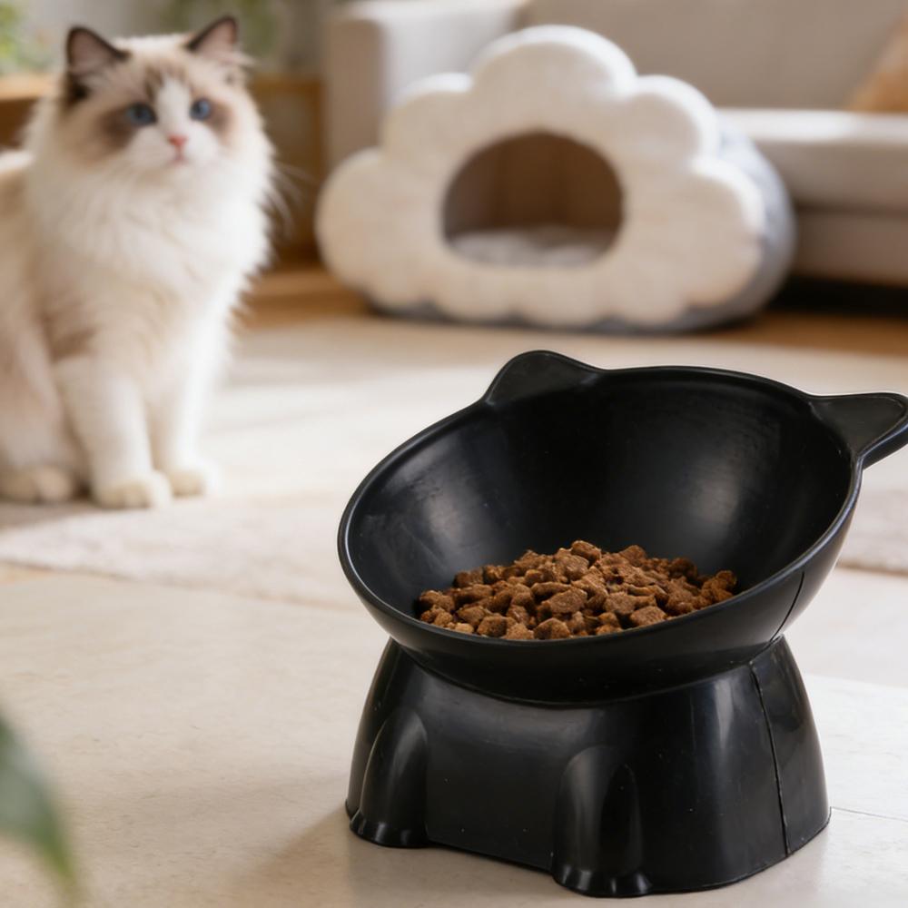 Black Cat Bowl Amazon Ceramic  - Pet Supplies In Amazon review and price