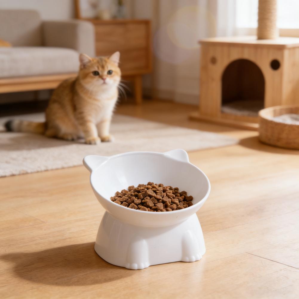 Black Cat Bowl Amazon Ceramic  - Pet Supplies In Amazon review and price