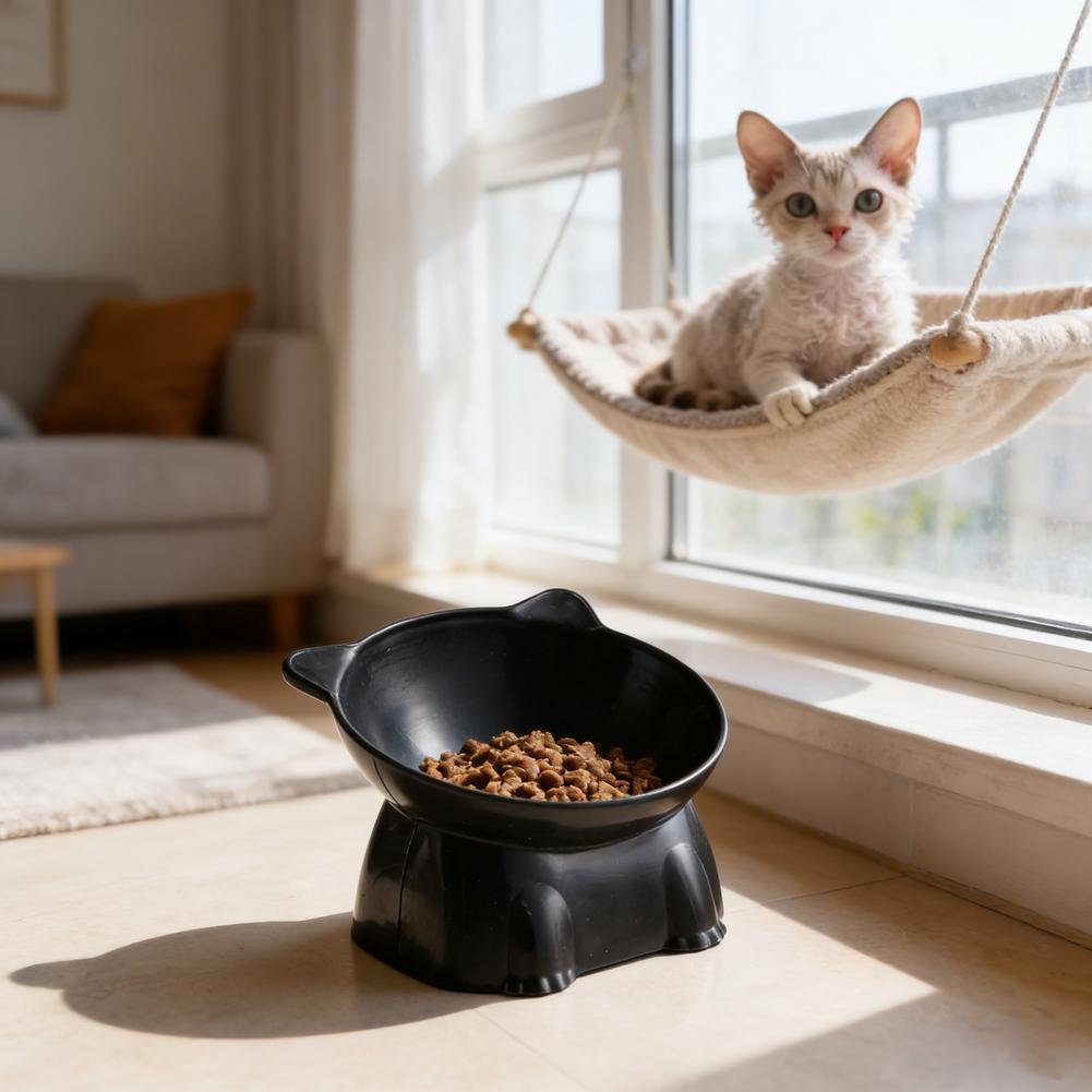 Black Cat Bowl Amazon Ceramic  - Pet Supplies In Amazon review and price