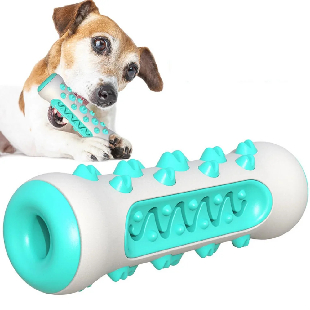 Pet Supplies Amazon Pop Dog To - Pet Supplies In Amazon review and price