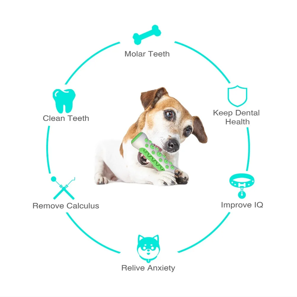 Pet Supplies Amazon Pop Dog To - Pet Supplies In Amazon review and price