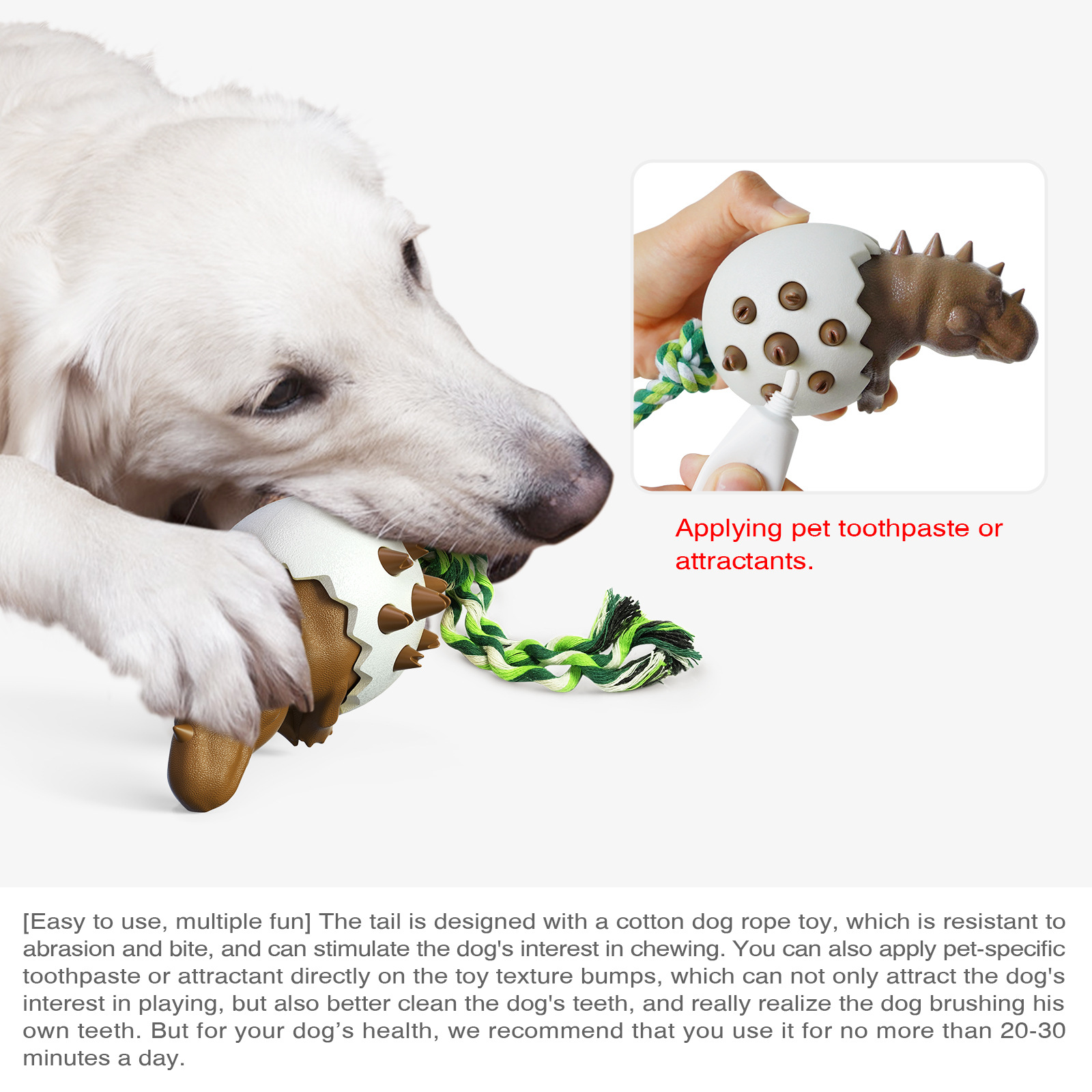 Dinosaur Egg Dog Molar Stick,  - Pet Dental Chew Toy review and price