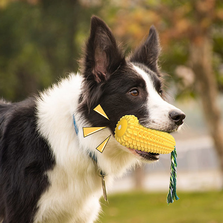 Squeaky Corn Dog Toothbrush Pe - Pet Supplies In Amazon review and price