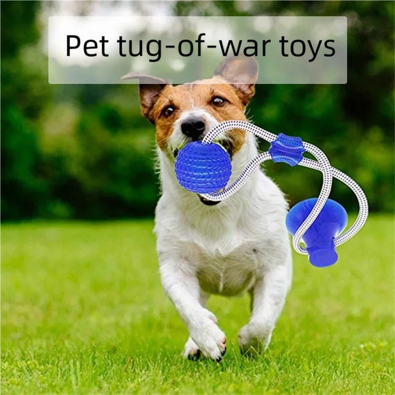 Durable Suction Cup Dog Tug To - Pet Dental Chew Toy review and price
