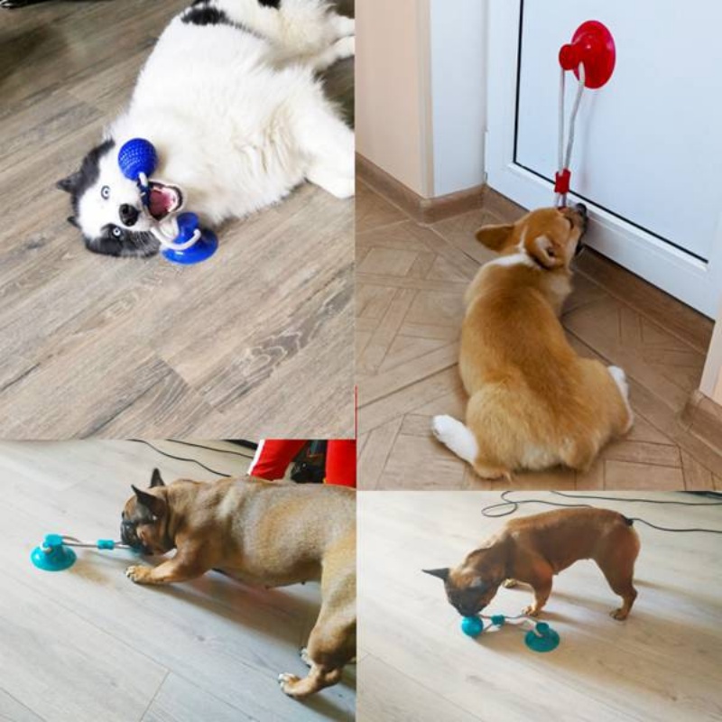 Durable Suction Cup Dog Tug To - Pet Dental Chew Toy review and price