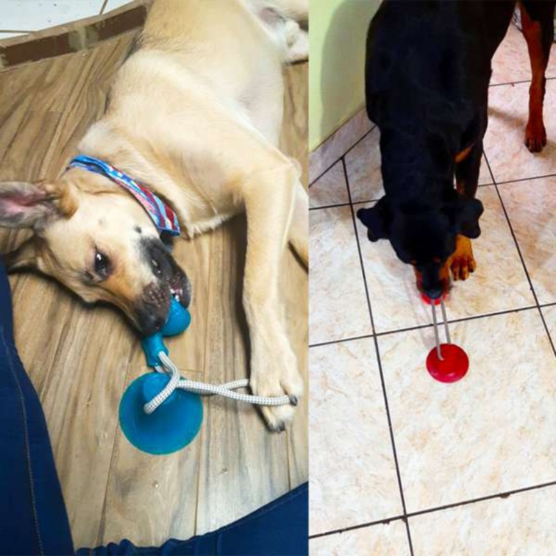 Durable Suction Cup Dog Tug To - Pet Dental Chew Toy review and price