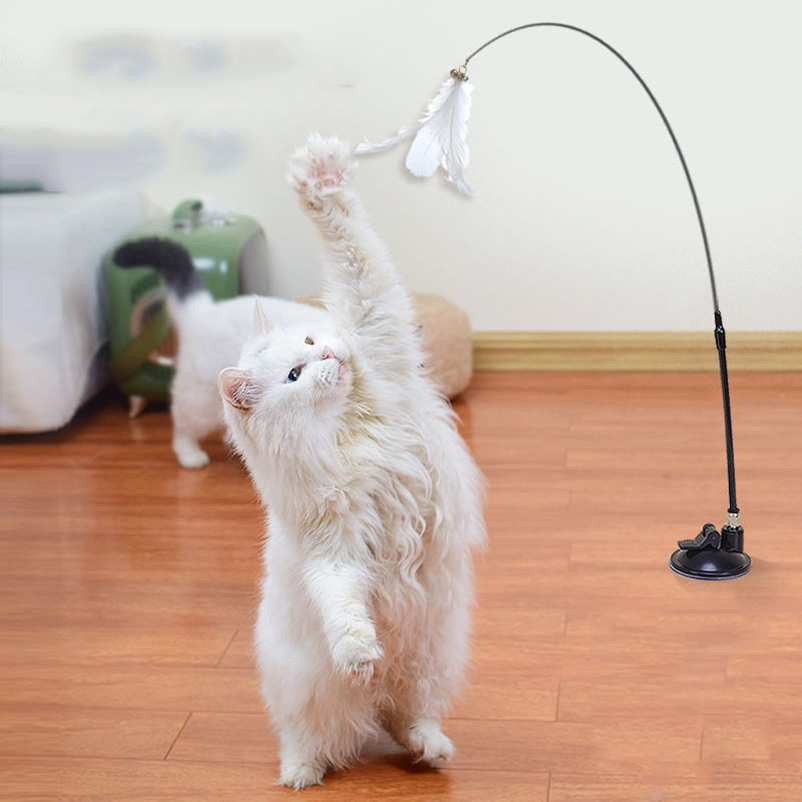 New powerful suction cat-teasi - Pet Supplies In Amazon review and price