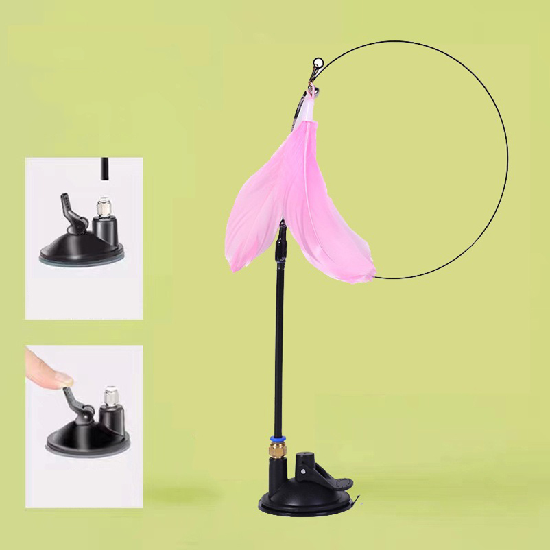 New powerful suction cat-teasi - Pet Supplies In Amazon review and price