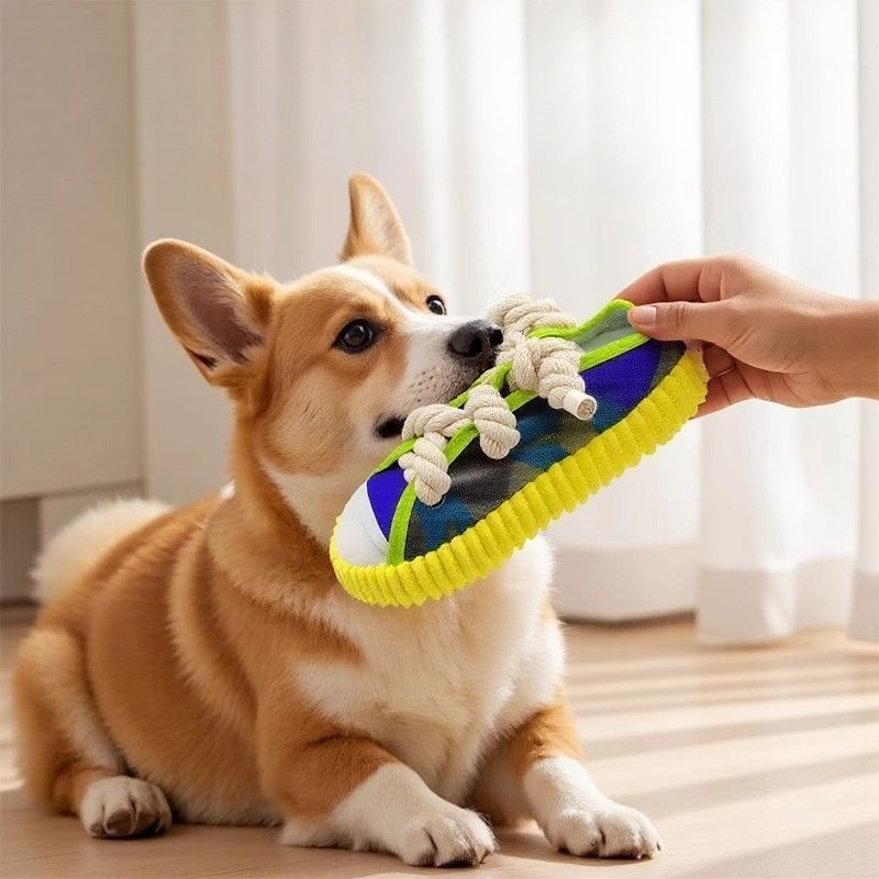 Dog Squeak Toy Teeth Grinding  - Pet Dental Chew Toy review and price