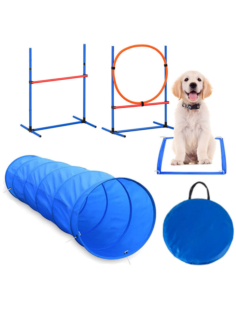 Dog Obstacle Training Competit - Pet Supplies For Dogs review and price