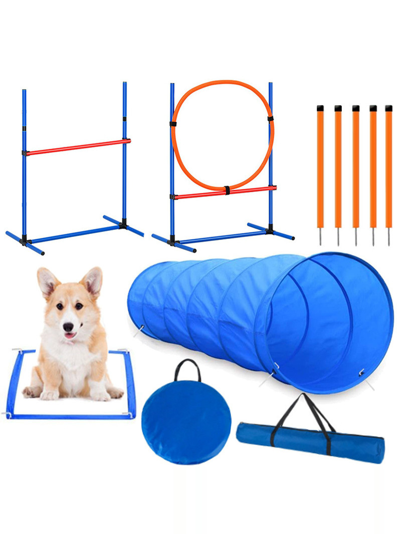 Dog Obstacle Training Competit - Pet Supplies For Dogs review and price
