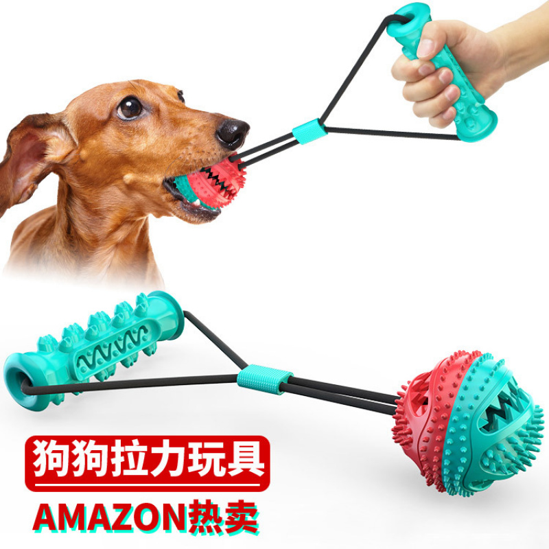 New pet supplies and toy set,  - Pet Supplies In Amazon review and price