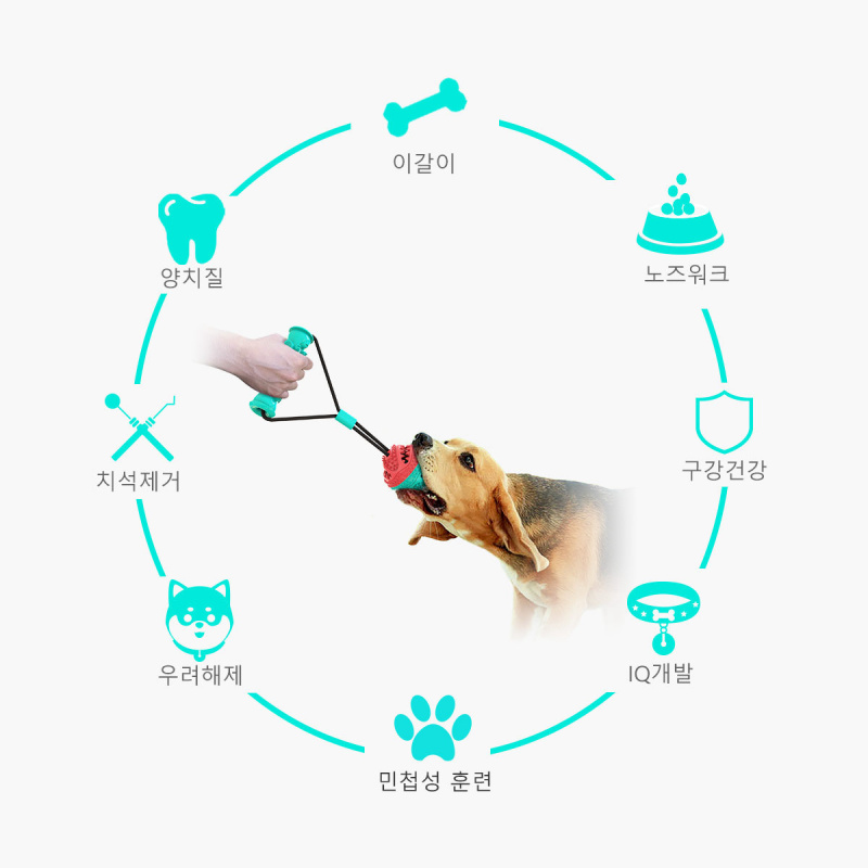 New pet supplies and toy set,  - Pet Supplies In Amazon review and price